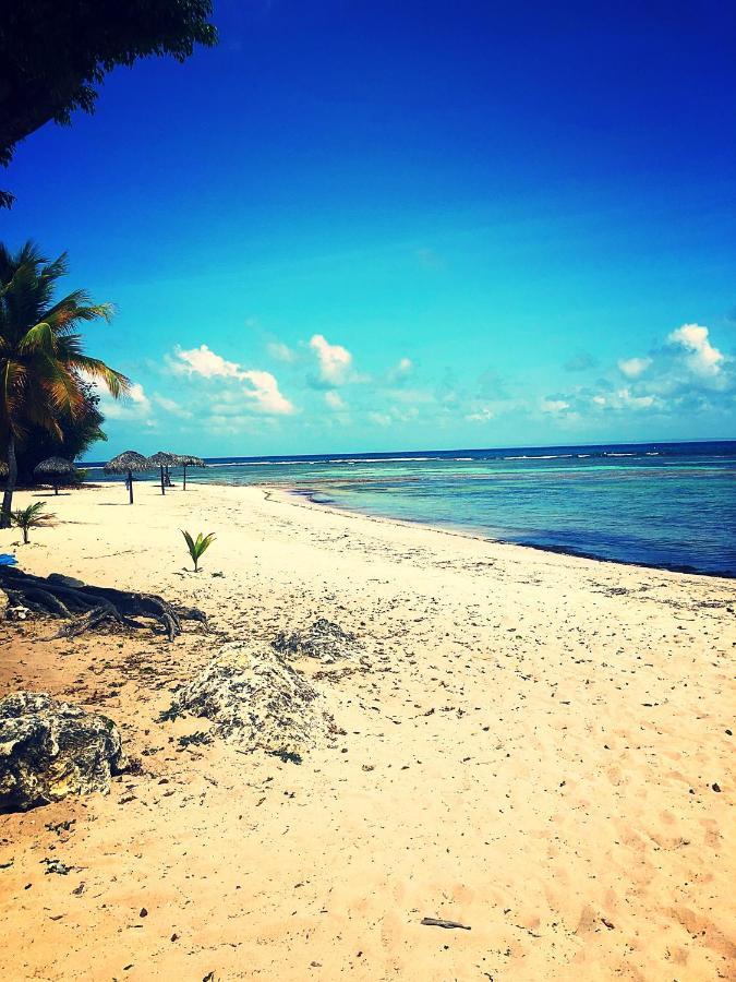 Ti Kaz Effet Mer Saint-Francois  Luaran gambar